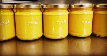 עמבה