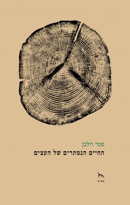טעימה מספרו של פטר וולבן: "החיים הנסתרים של העצים"