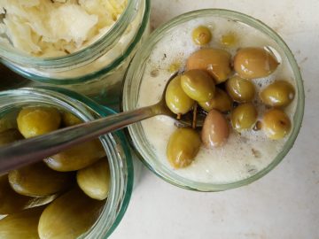 הזיתים הכבושים של אורי